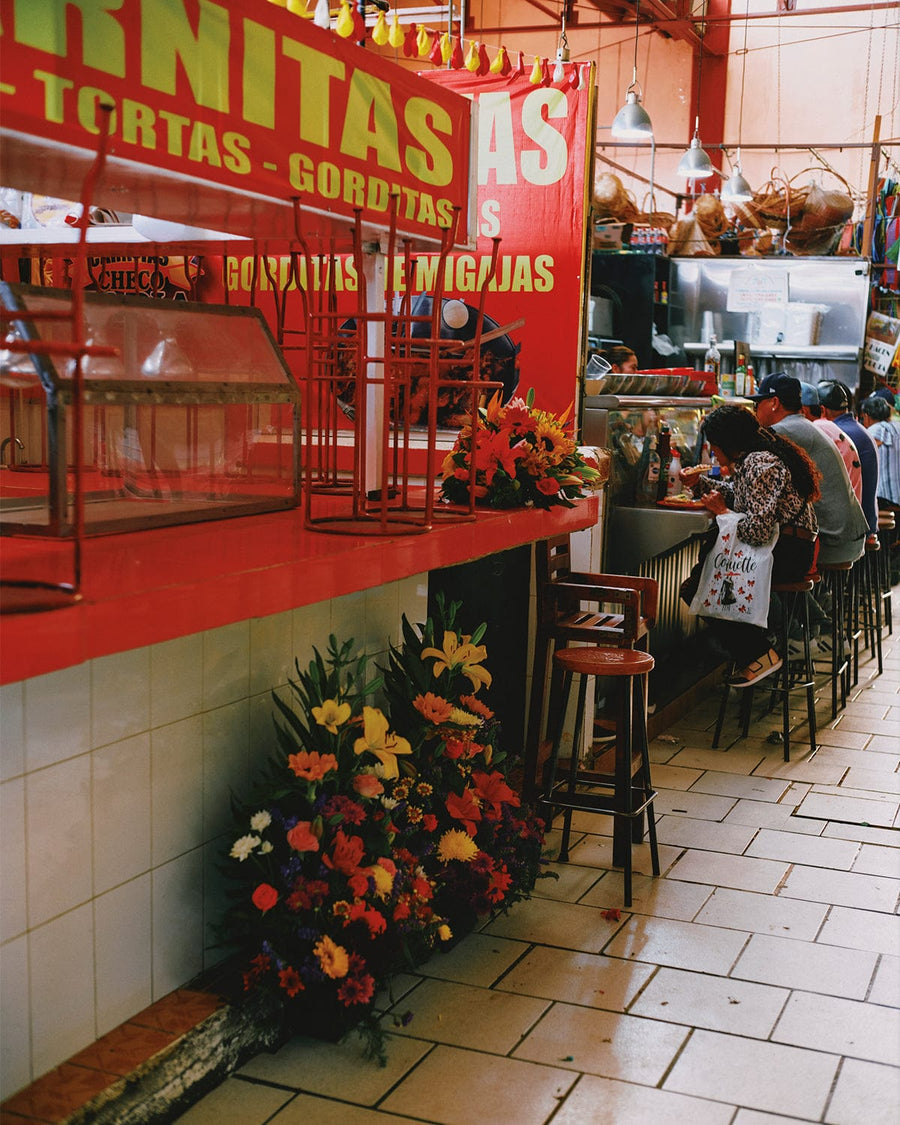 EL BAJÍO: Recipes & Wanderings Through Mexico's Heartland