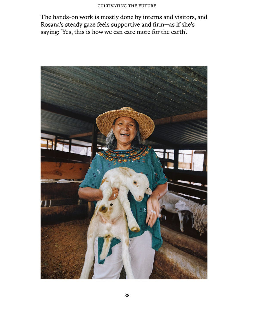 EL BAJÍO: Recipes & Wanderings Through Mexico's Heartland