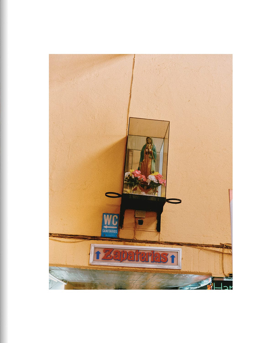 EL BAJÍO: Recipes & Wanderings Through Mexico's Heartland