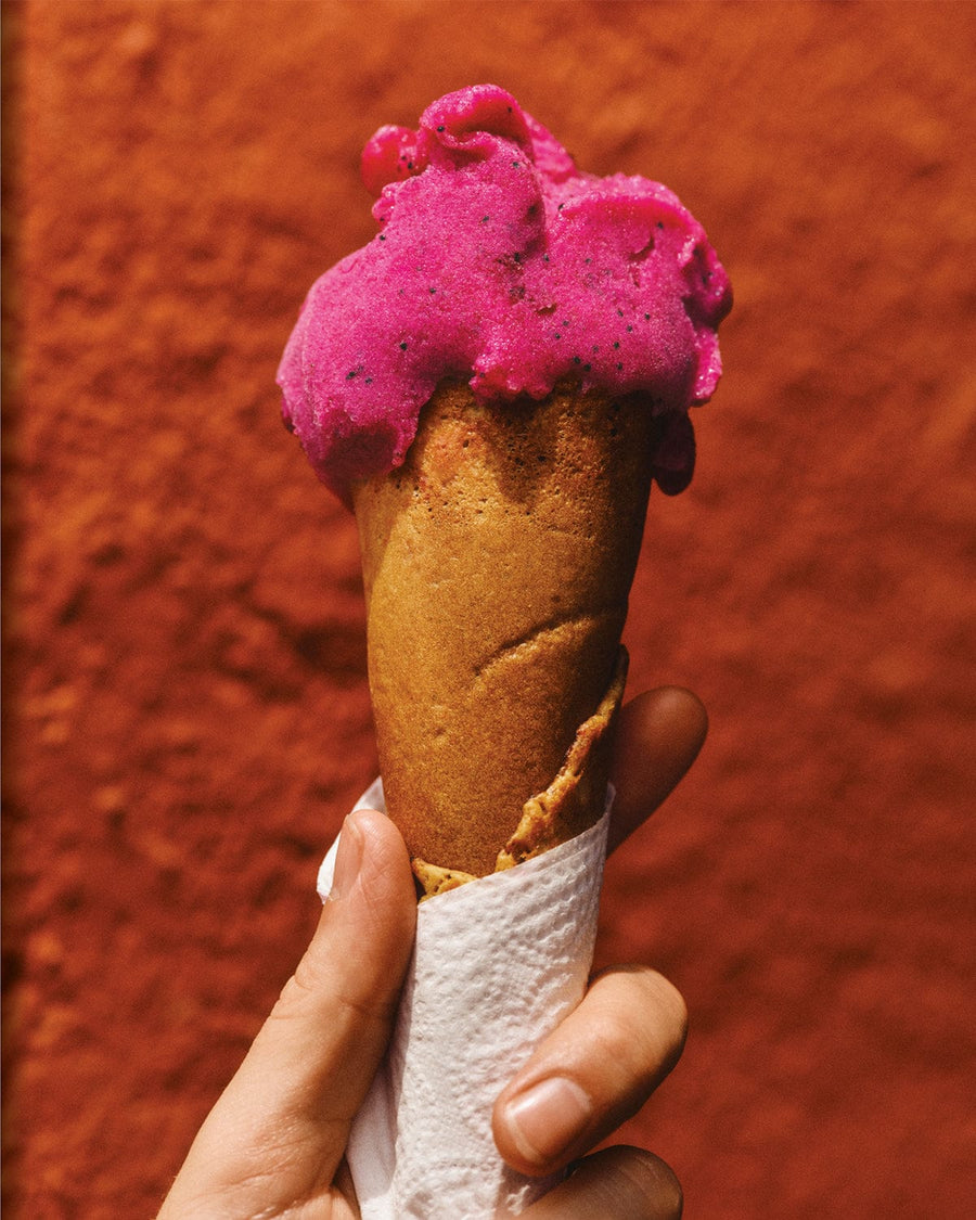 EL BAJÍO: Recipes & Wanderings Through Mexico's Heartland